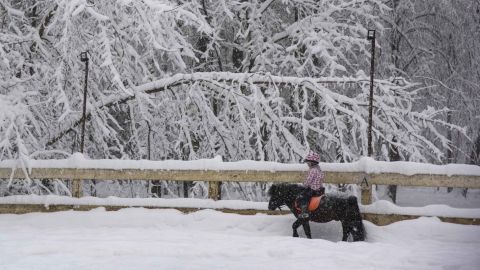 A girl rides a pony in the Botanical Garden in Moscow.