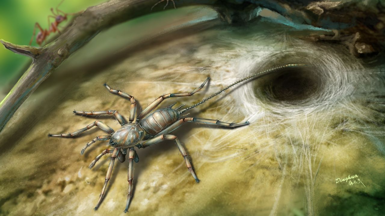 An artist's rendering of what the prehistoric spider might have looked like.
