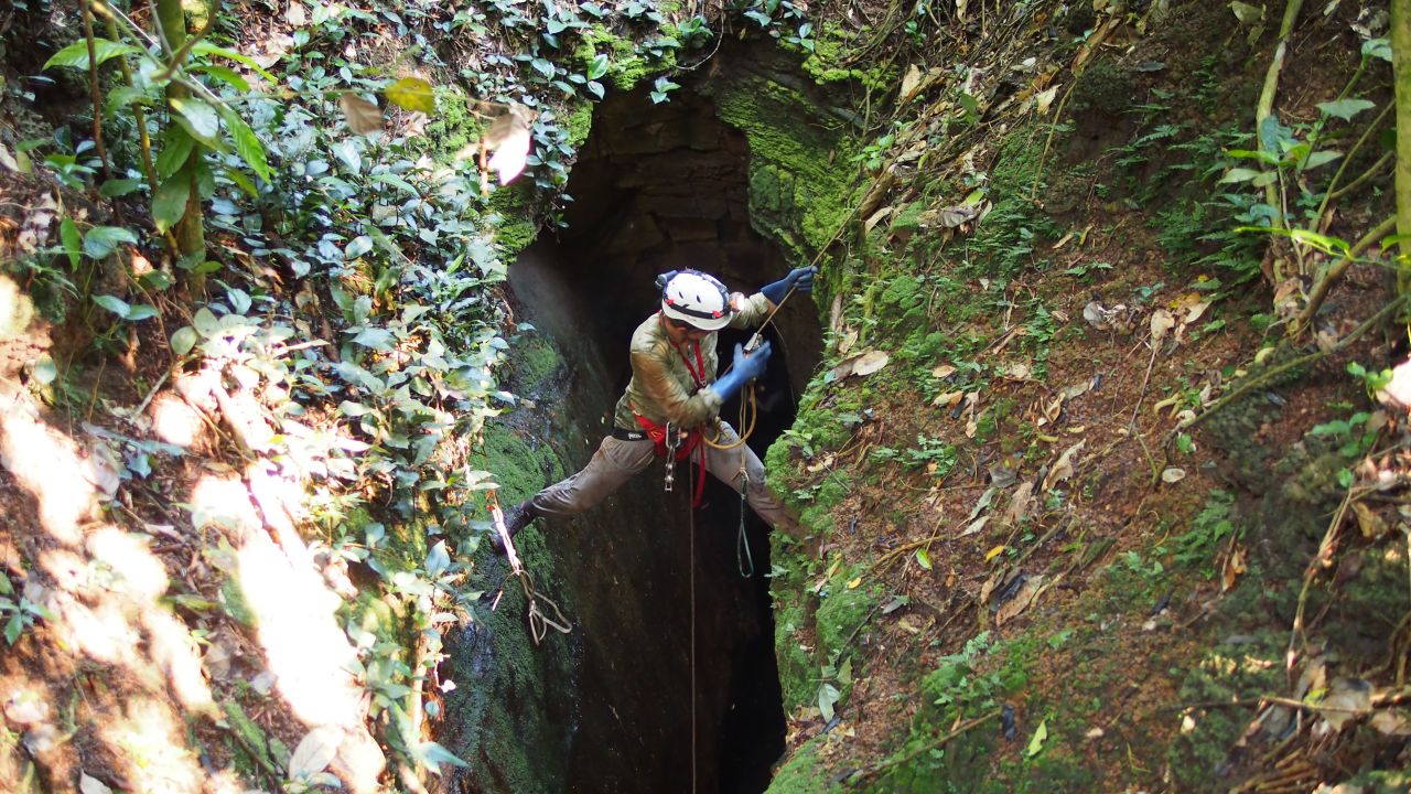 Just above the Abanda caves in Gabon.