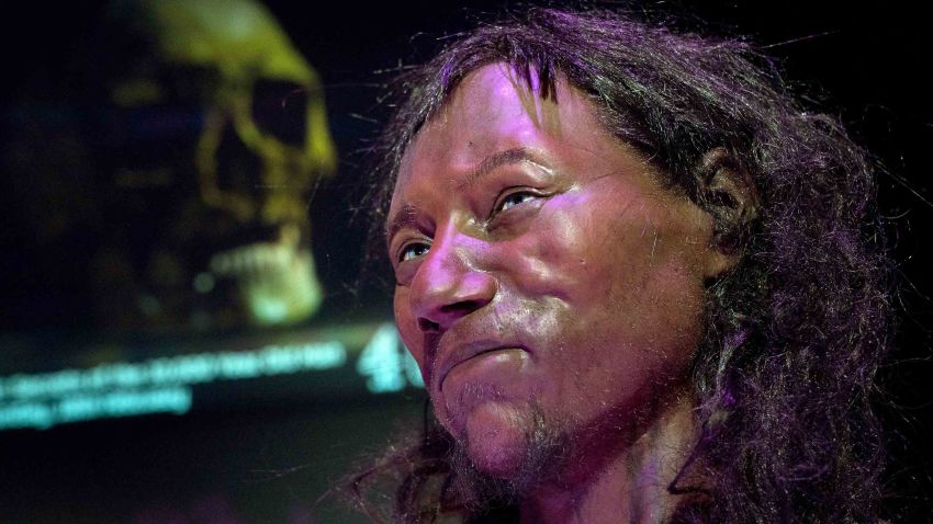 A full face reconstruction model made from the skull of a 10,000 year old man, known as 'Cheddar Man', Britain's oldest complete skeleton is pictured during a press preview at the National History Museum in London on February 6, 2018.**PLEASE NOTE: PHOTOGRAPHS ARE EMBARGOED UNTIL 00.01 GMT February 7, 2018** / AFP PHOTO / Justin TALLIS        (Photo credit should read JUSTIN TALLIS/AFP/Getty Images)