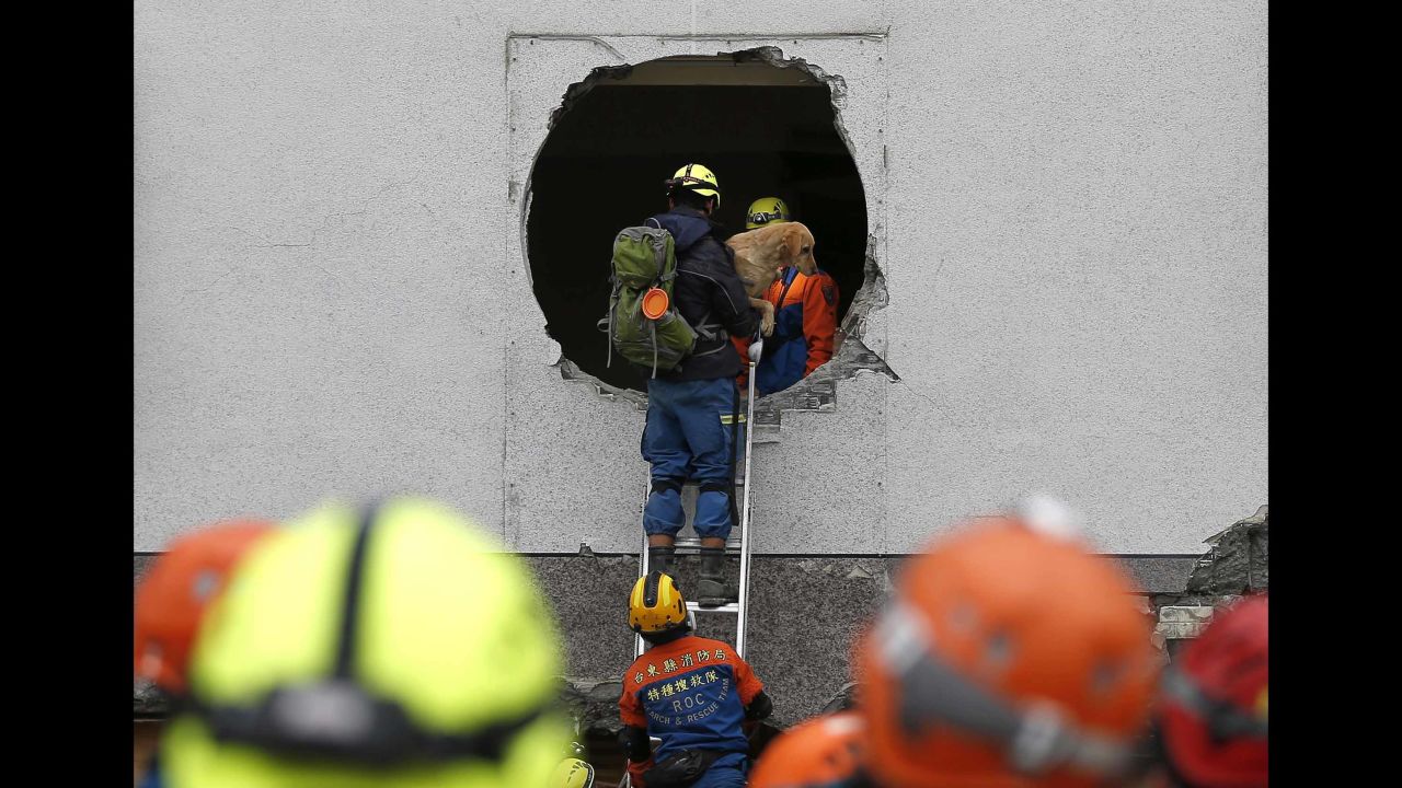 Emergency personnel rescue a pet dog from a damaged building in Hualien on February 7.