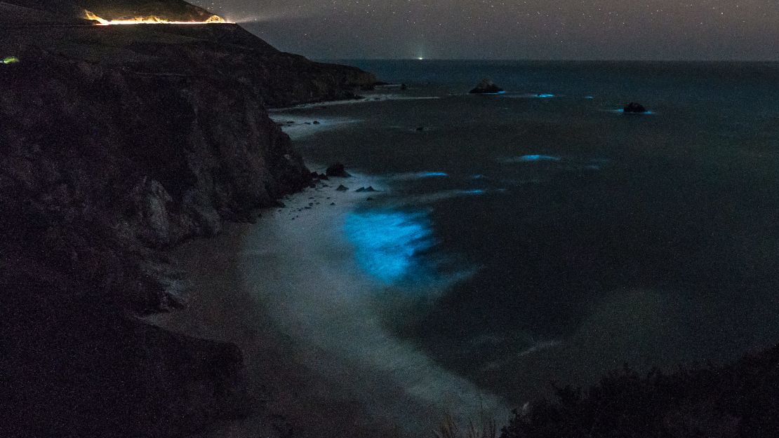 03 bioluminescent big sur