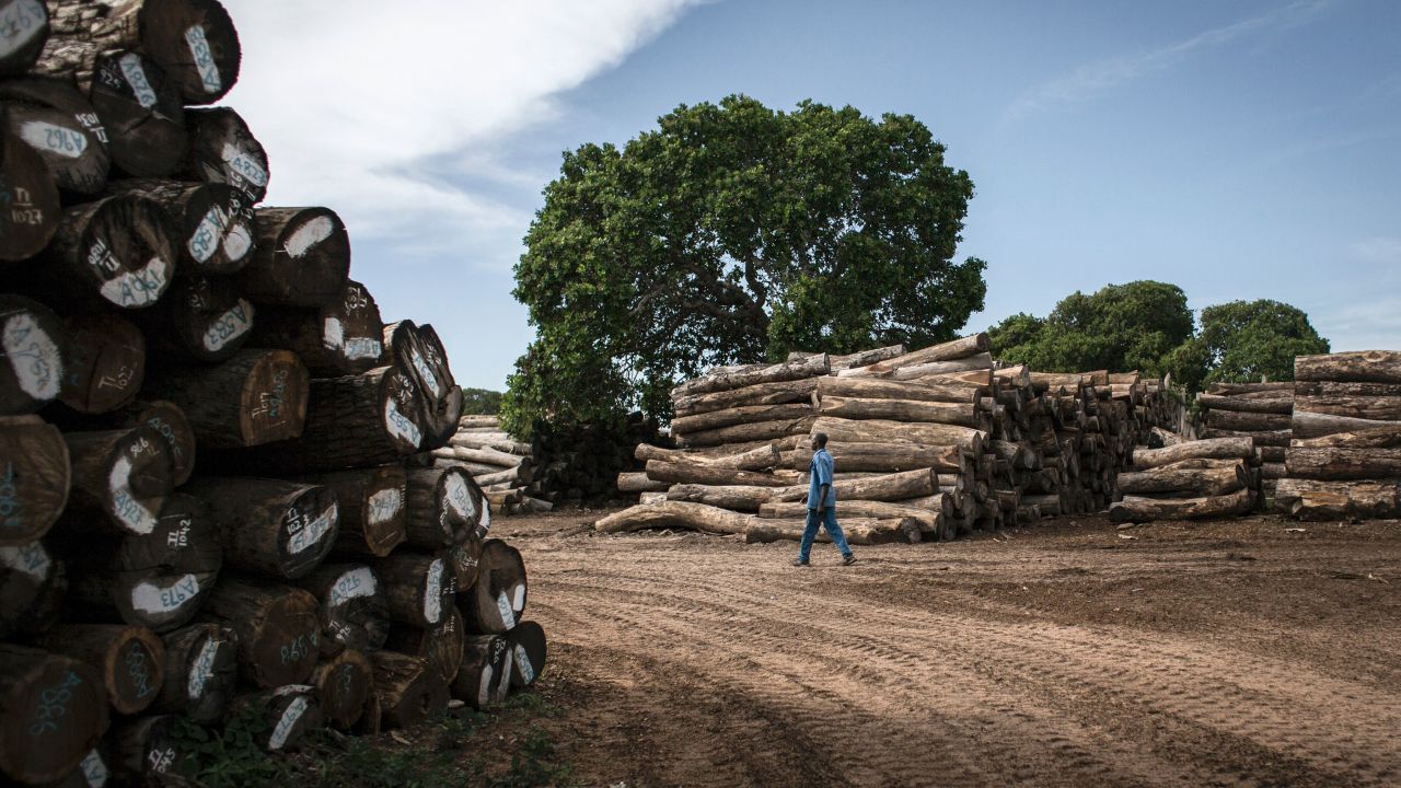 A worker walks in a storage bay of a logging company in Mozambique.