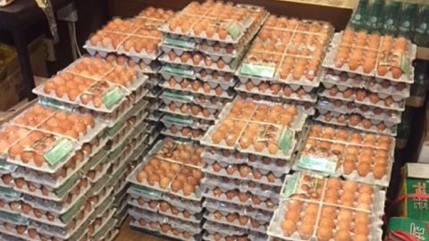 Norway eggs delivery