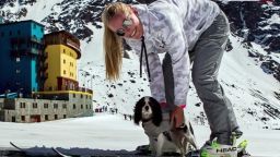 lindsey vonn rescue dogs skiing pyeongchang 2018 winter olympics intl orig_00004701.jpg