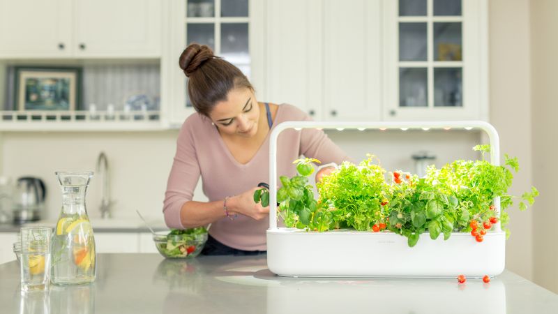 Click and Grow Smart Garden 3 Review CNN Underscored