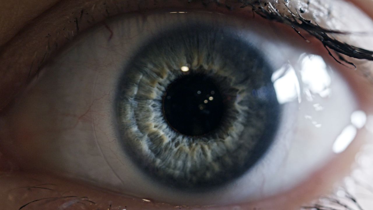 you are your password great by design orig lon1