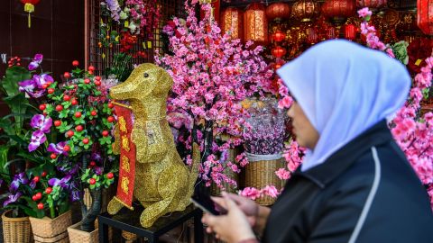 A Malaysian Muslim woman (R) walks past a golden canine statue (C) ahead of the Lunar New Year celebrations in Kuala Lumpur's Chinatown on January 26, 2018.

As the Year of the Dog approaches, some shops run by ethnic Chinese in Malaysia are keeping canine models inside instead of displaying them prominently to avoid causing offence in the Muslim-majority country. / AFP PHOTO / MOHD RASFAN        (Photo credit should read MOHD RASFAN/AFP/Getty Images)