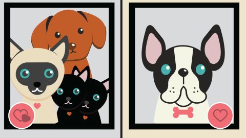 singles vs married updated graphics pets