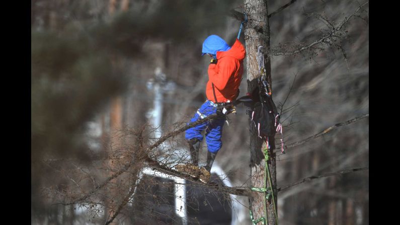 An Olympic staff member takes a position on a tree to watch some skiing.