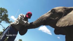 Inside Africa Getting up close and casual with elephants C_00001825.jpg