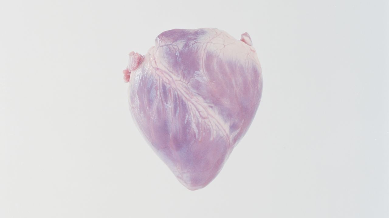ward roberts heart 6