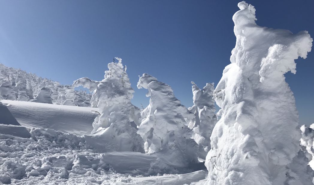 <strong>Analyze this: </strong>Much like staring into the clouds, part of the fun of exploring Zao's snow monsters includes playing the old "what do you see" game.  Here, we see a wild cat roaring at a zombie as a large woman looks over it disapprovingly. You?  