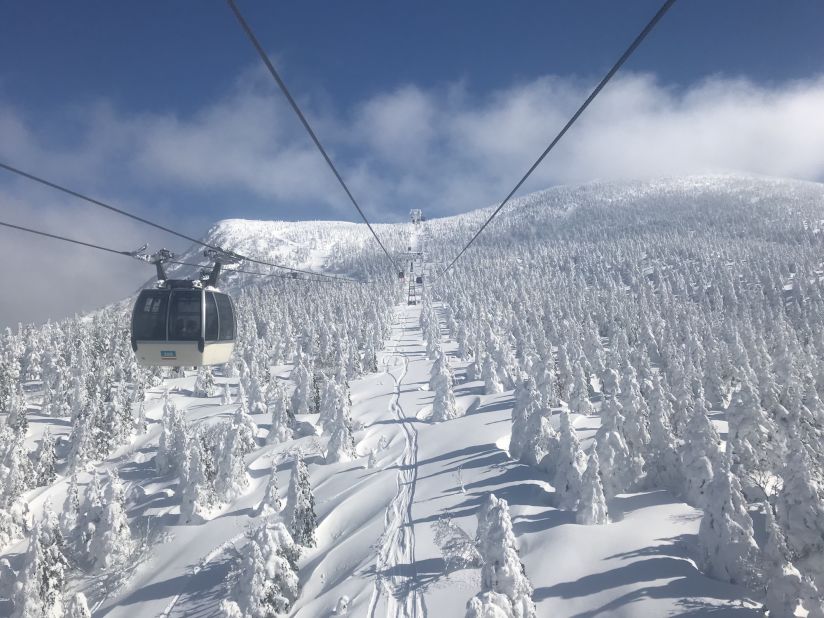 <strong>Stunning landscapes: </strong>As the cable car slides up the mountain, the trees become less recognizable.