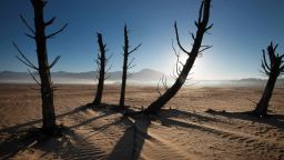A picture taken on May 10, 2017 shows bare sand and dried tree trunks standing out at Theewaterskloof Dam, which has less than 20% of it's water capacity, near Villiersdorp, about 108km from Cape Town.South Africa's Western Cape region which includes Cape Town declared a drought disaster on May 22 as the province battled its worst water shortages for 113 years. This dam is the main water source for the city of Cape Town, and there is only 10% of it's usual capacity left for human consumption, at the last 10% is not useable, due to the silt content.  / AFP PHOTO / Rodger BOSCH        (Photo credit should read RODGER BOSCH/AFP/Getty Images)