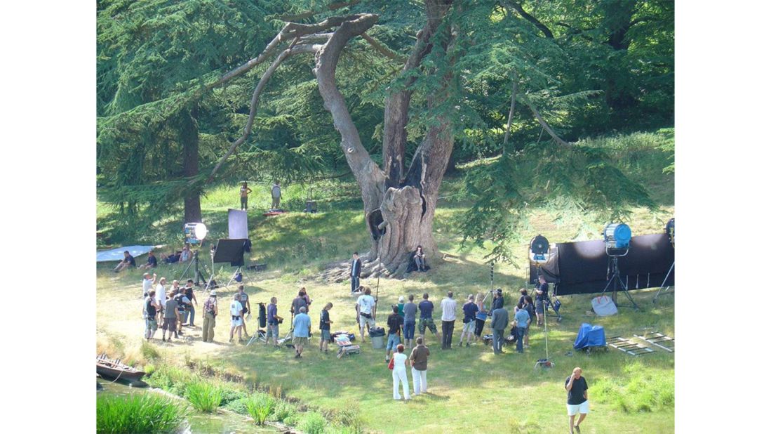 A Blenheim Palace tree, situated on the bank of the palace's Great Lake, had a small (but important) role in the fifth Harry Potter film, <em>The Order of the Phoenix</em> (2007).