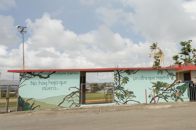 Painted across the finished mural are the words "No hay hoja que muera ... sin otra que nazca," or "No leaf dies ... without another being born."