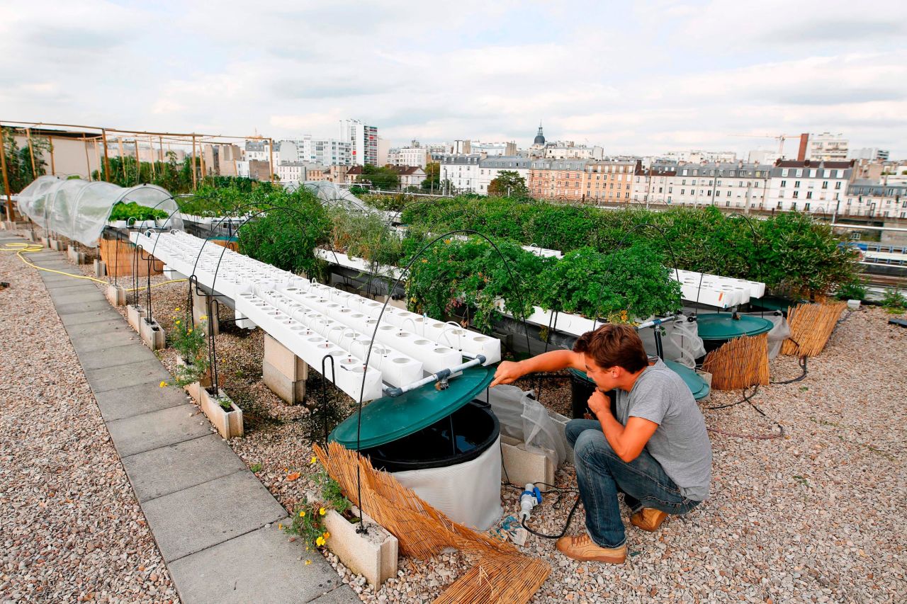 By using a hydroponic system on rooftops, it can reduce harmful emissions in the cities and produce higher yields with less water consumption. 