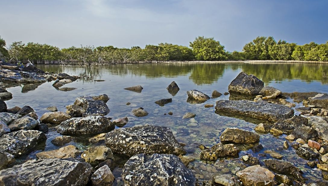 <strong>Al Thakira Mangroves: </strong>This large area of greenery and water has its own ecosystem in an otherwise sandy, scorching desert. Herons and flamingos have been migrating to the region for years. 