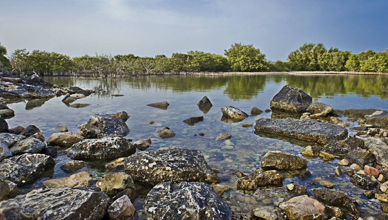 <strong>Al Thakira Mangroves: </strong>This large area of greenery and water has its own ecosystem in an otherwise sandy, scorching desert. Herons and flamingos have been migrating to the region for years. 
