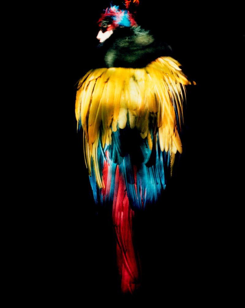 Dior through the ethereal lens of Paolo Roversi | CNN