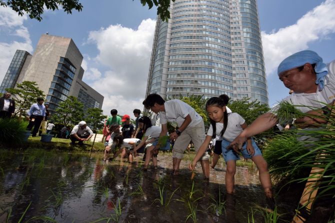 As part of the Tokyo redevelopment project, this famous <a href="http://www.roppongihills.com.e.nt.hp.transer.com/" target="_blank" target="_blank">building complex</a> now has a rooftop garden that grows rice amongst other things. 