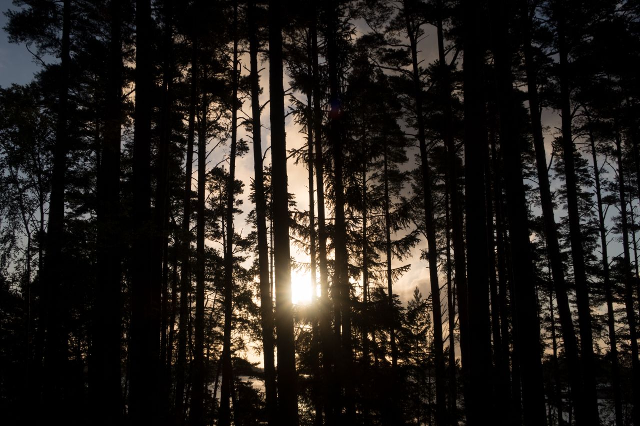 Roth is excited to showcase the beauty of the Finnish Archipelago to the world.