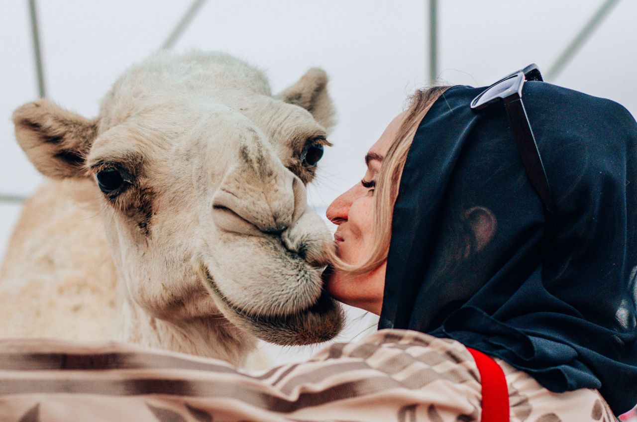 <strong>Star attraction: </strong>Journalist Danae Mercer shares a kiss with one of the thousands of camels at the festival.