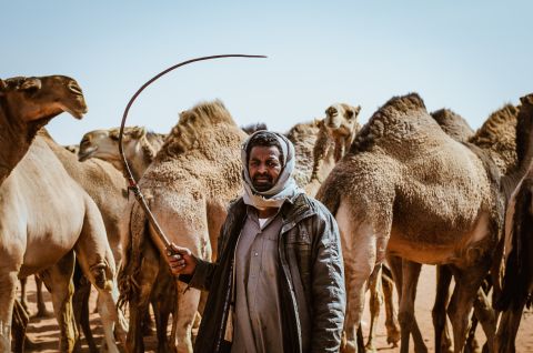 <strong>Long standing tradition:</strong> "We need people outside Saudi Arabia to see how we live, to see what the camel means for us," says Sultan Al-Bogomi, an official spokesperson of the King Abdulaziz Camel Festival.