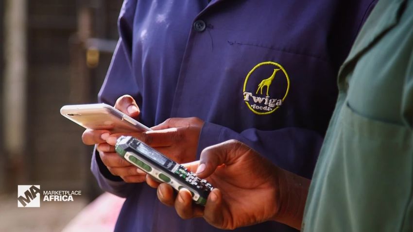 Marketplace Africa How tech companies are changing Kenyan farming A_00000725.jpg