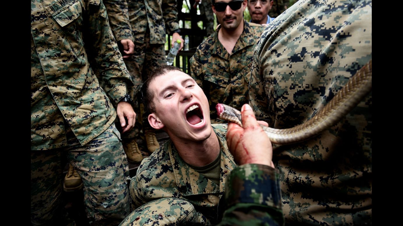 A US Marine drinks cobra blood during the Cobra Gold joint training exercise between US and Thai military on Monday, February 19. In demonstrating jungle survival methods, cobra blood and flesh are used as nutrition in a scenario where sustenance is scarce.