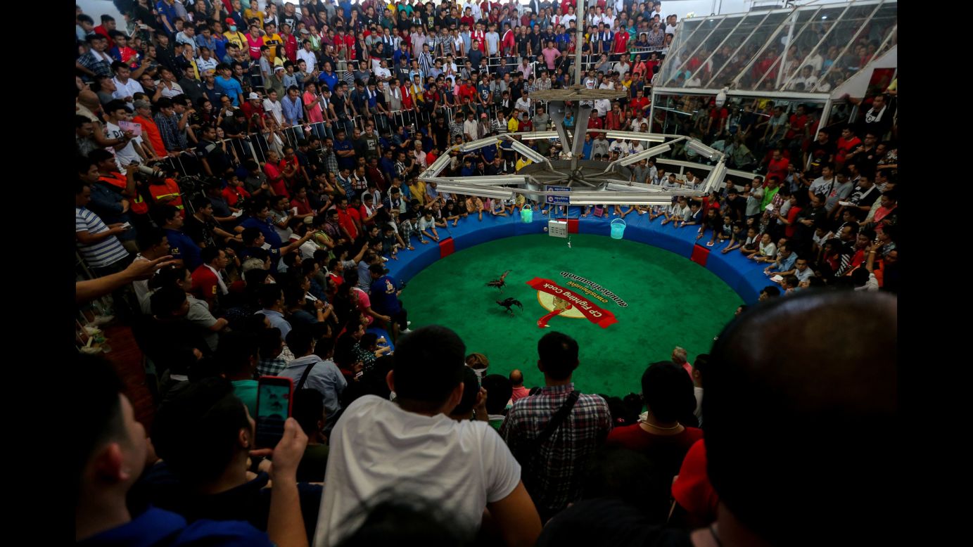 People watch a cockfighting match on Sunday, February 18 on the outskirts of Bangkok with the highest cash reward in Thai history -- more than $1 million (US).