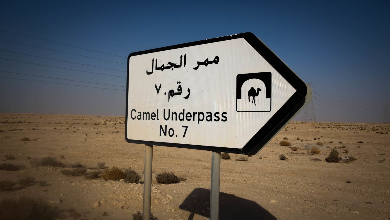 <strong>Obscure location:</strong> Getting there is tricky. There are no signposts, other than this marker pointing the way for camels. 