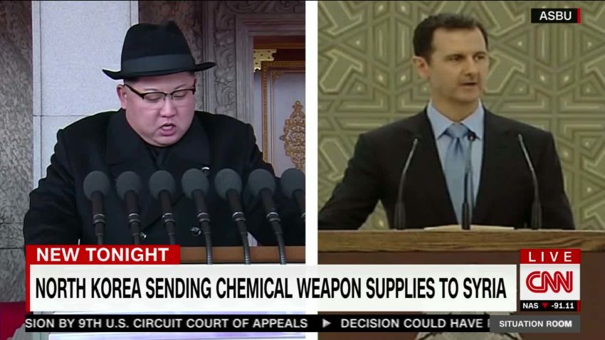 exp TSR.Todd.North.Korea.Syria.chemical.weapons.UN.report_00010901.jpg