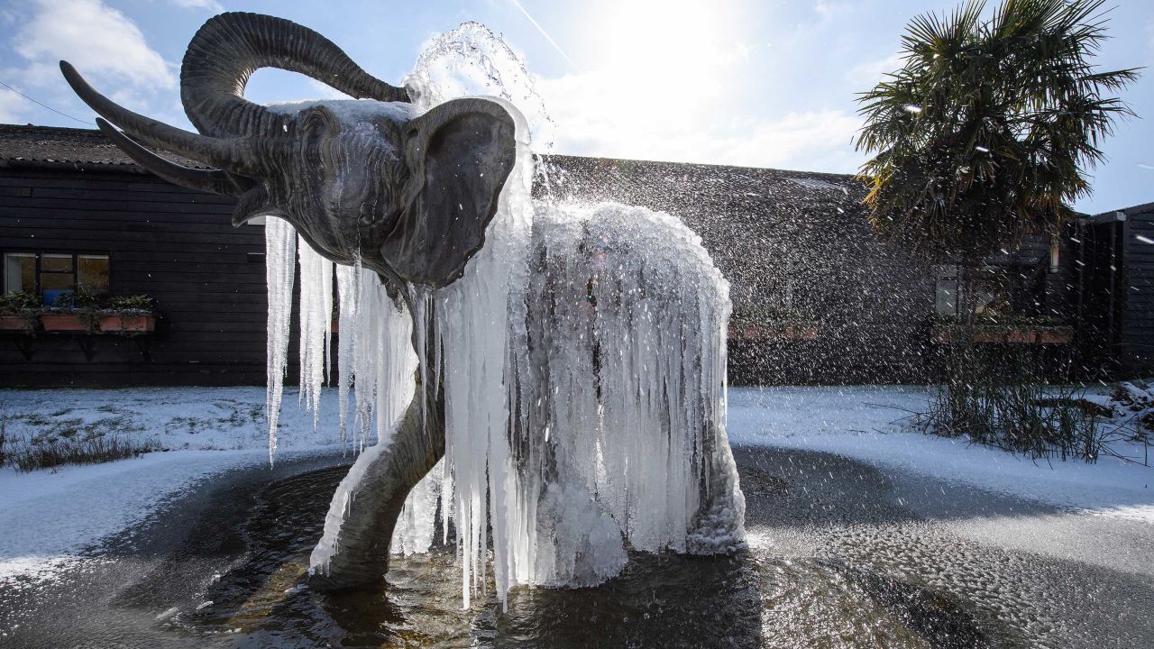 Icicles hang from a frozen elephant fountain on Tuesday in Colchester, United Kingdom. 