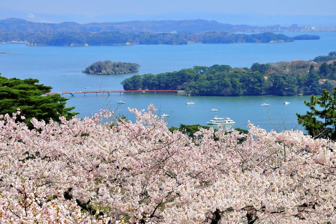 <strong>Saigyo Modoshi no Matsu Park:</strong> Don't care about oysters? Consider visiting Matsushima during cherry blossom season. According to the <a href="https://cnn.com/travel/article/japan-sakura-cherry-blossom-season/index.html">2018 cherry blossom forecast</a>, Miyagi prefecture will be blanketed in the beautiful blooms around April 10. 