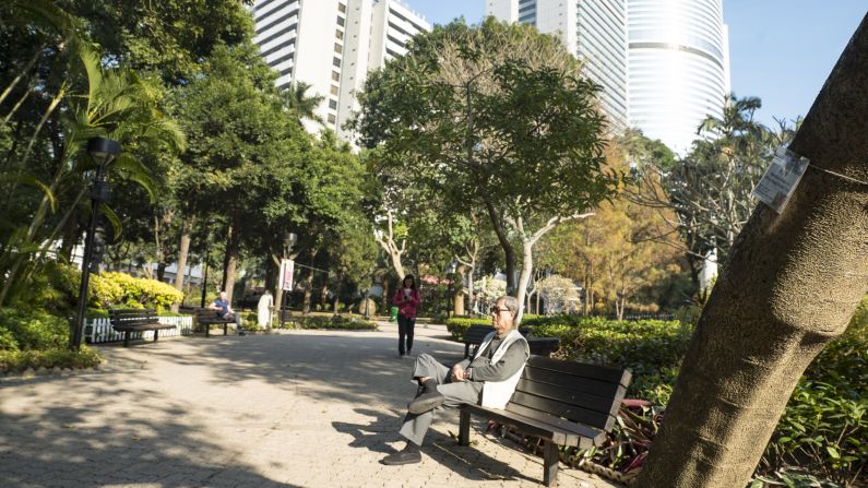 Hong Kong is greener than most cities, and almost all districts are members of the WHO global network of <a href="index.php?page=&url=http%3A%2F%2Fwww.who.int%2Fageing%2Fprojects%2Fage_friendly_cities%2Fen%2F" target="_blank" target="_blank">age-friendly cities</a>, which encourages the creation of urban spaces supportive of older people. Pictured, Hong Kong Park in the center of the city.