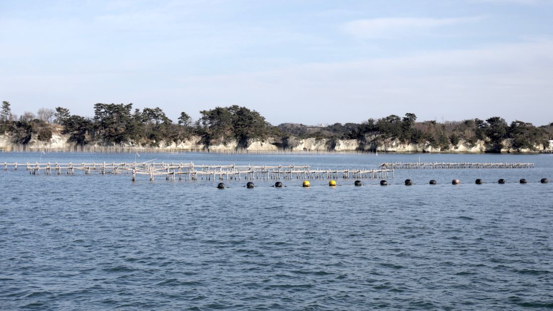 <strong>Fishing nets: </strong>The bay is filled with oyster and wakame farms. 