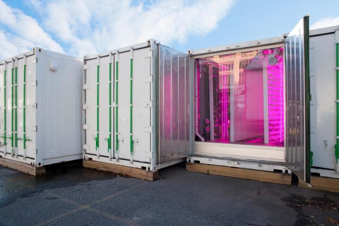 <strong>Square Roots, US --</strong> Based in Brooklyn, New York City,  <a href="https://squarerootsgrow.com/" target="_blank" target="_blank">Square Roots</a> grows food in shipping containers placed in a parking lot. 