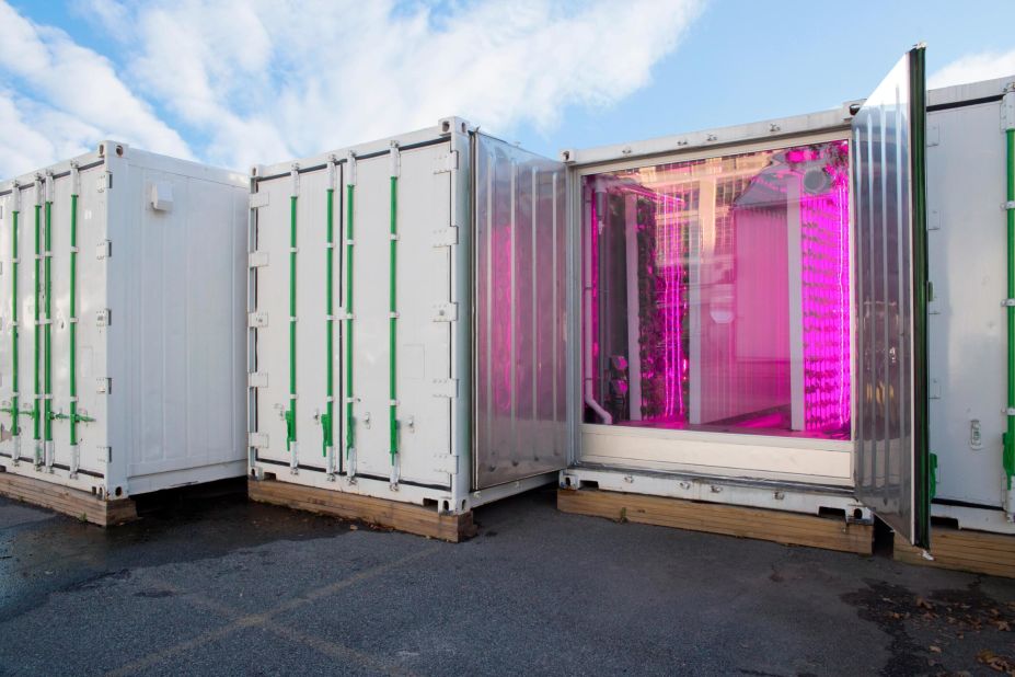 <strong>Using shipping containers as farms:</strong> These tiny indoor farms grow food in old shipping containers in parking lots in Brooklyn, New York. Square Roots, the company that developed the technology, says its models use<a href="https://squarerootsgrow.com/2019/04/15/10-Ways-Container-Farms-Empower-Next-Gen-Farmers.html" target="_blank" target="_blank"> less food miles and create less food waste</a> than regular farming. 