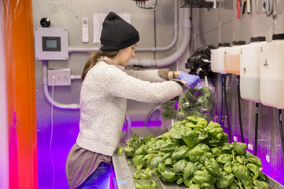 Farmers selected by an entrepreneur program have 13 months to grow genetically modified organism-free vegetables in the 320 square foot containers. 
