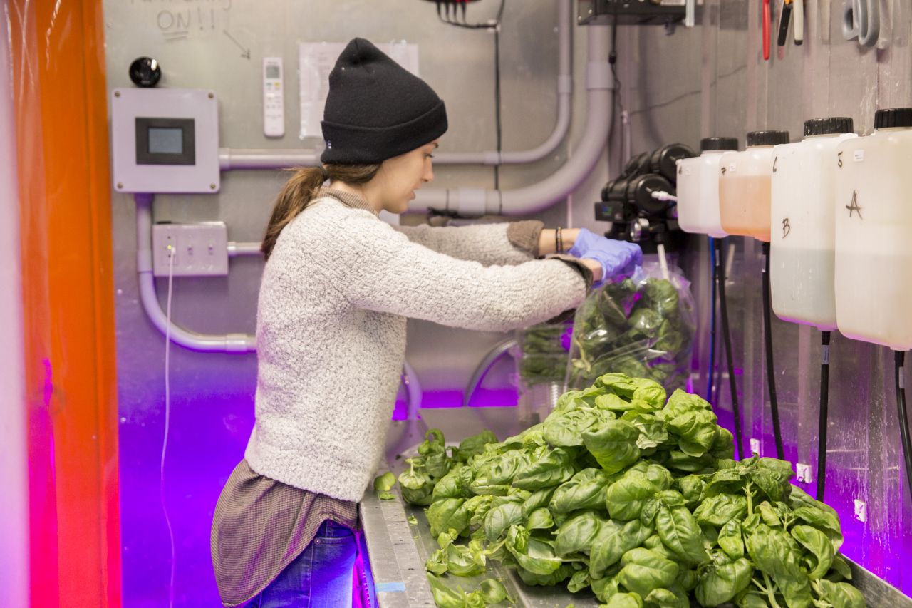 <strong>Square Roots, US -- </strong>Square Roots conducts a year-long training program in indoor farming, and says some of its past participants have gone on to start their own urban farming businesses.
