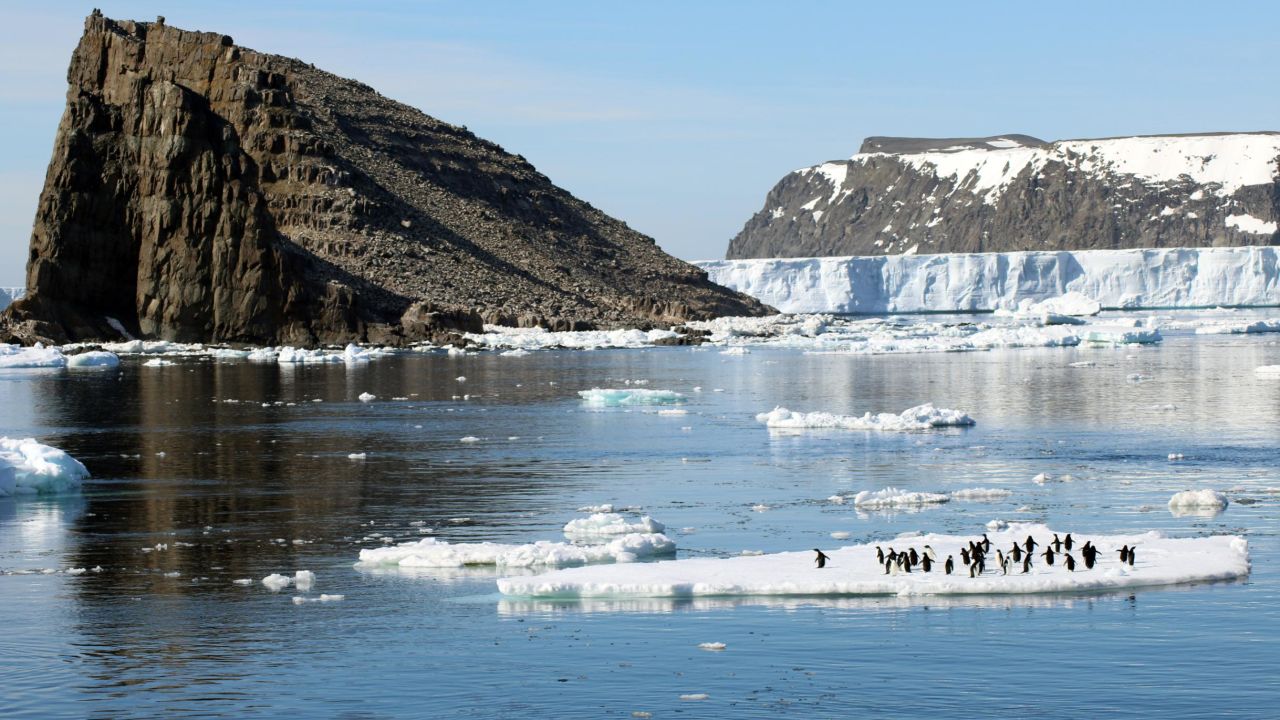 Penguin 3