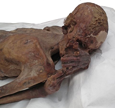 Researchers found a tattoo on the upper arm of this Egyptian mummy. He is thought to have lived around 5,000 years ago and was between 18 and 21 years old when he died from a stab wound to the back. 