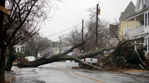 An uprooted tree blocks a residential street after taking down a power line in Swampscott, Massachusetts, on March 2.