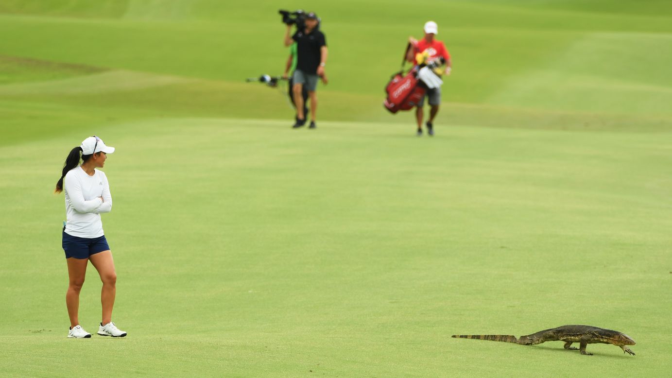 A monitor lizard shares a fairway with golfer Danielle Kang during the second round of the HSBC Women's World Championship, which was played in Singapore on Friday, March 2.