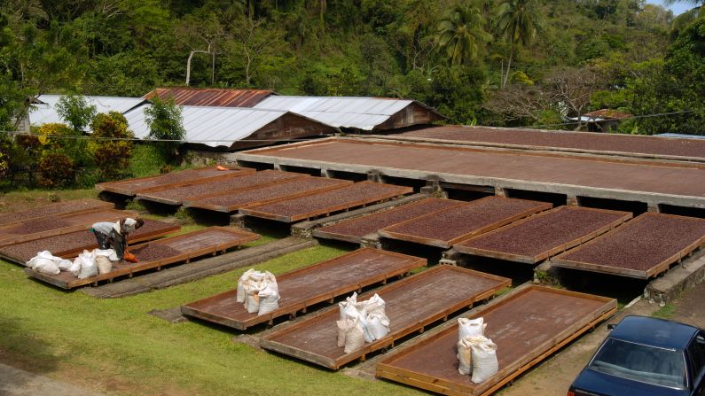 <strong>A deeper dive into Grenada: </strong>Cocoa beans thrive here, and small-batch chocolate production is alive and well. Wander the cocoa fields at Belmont Estate, and observe the bean-to-bar chocolate-making process while drinking a hot cocoa.