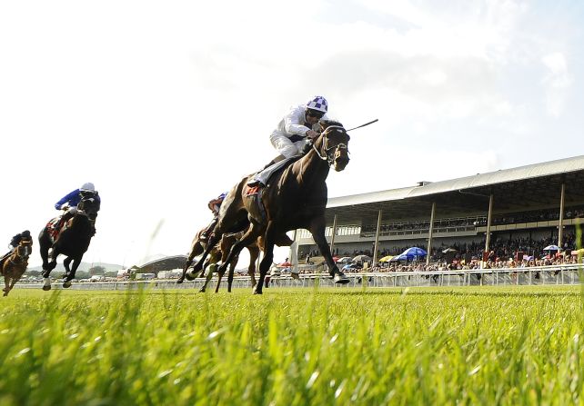 Some 10,000 horses move freely between the UK and Ireland, but that could all change if a "hard Brexit" is implemented. 