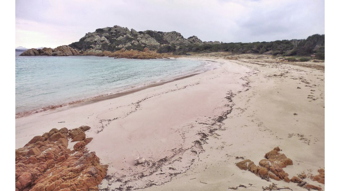 <strong>Importance of communication</strong>: Morandi began engaging with the tourists who came to see the famous pink beach. Now he gives tours and talks to guests in the summer months. 