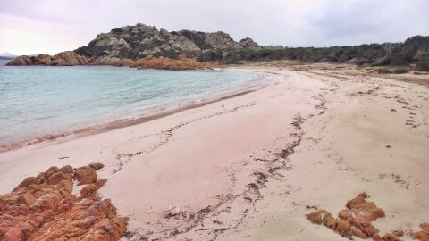 Budelli's famous pink beach, La Spiaggia Rosa.